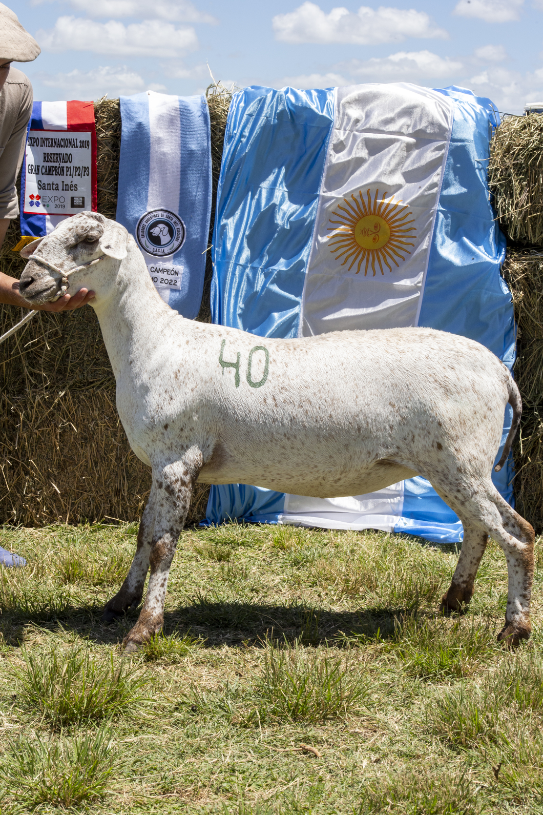 Lote SANTA INES P.P.C.