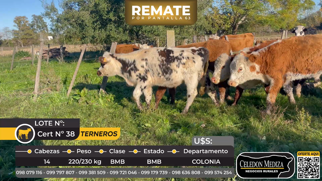 Lote 14 Terneros en La Horqueta, Colonia