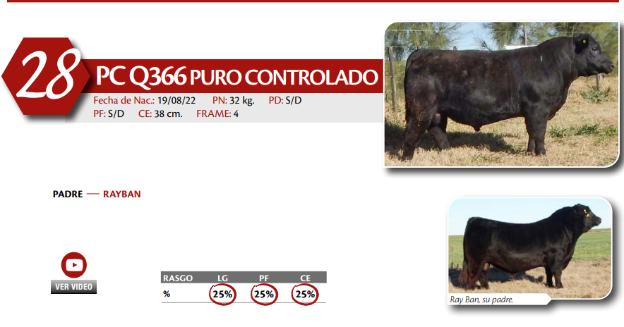 Lote MACHO PC