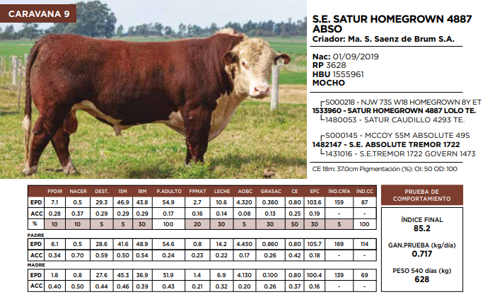 Lote S.E. SATUR HOMEGROWN 4887 ABSO  (GRUPO 1)