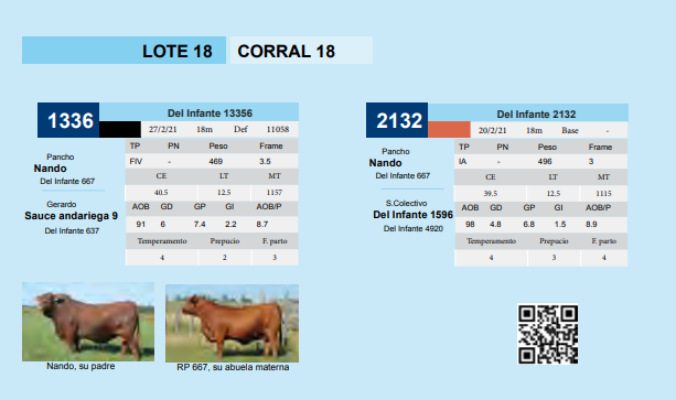 Lote CORRAL 18