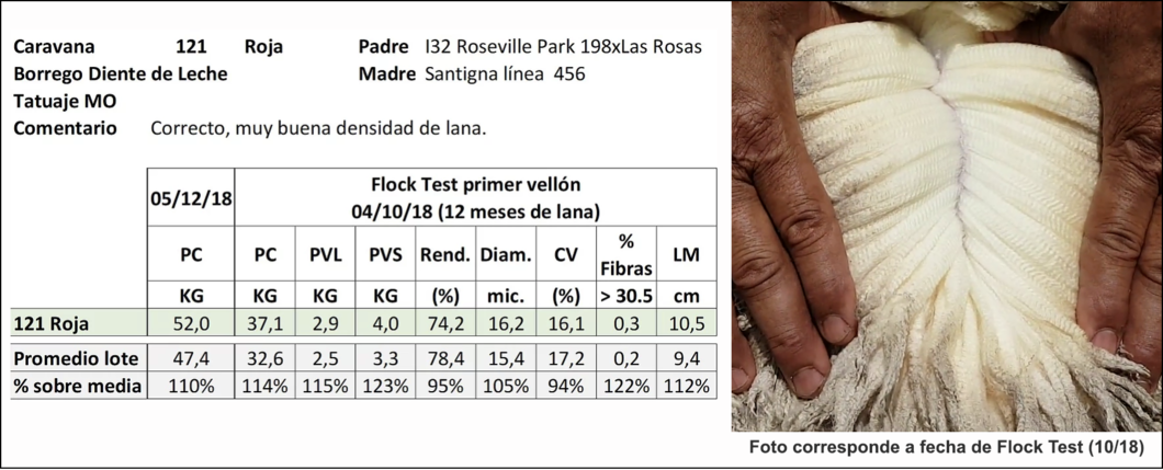 Lote Caravana 121