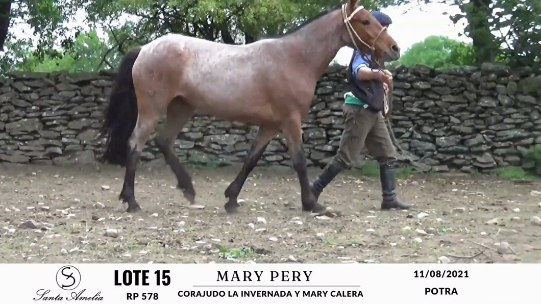 Lote MARY PERY