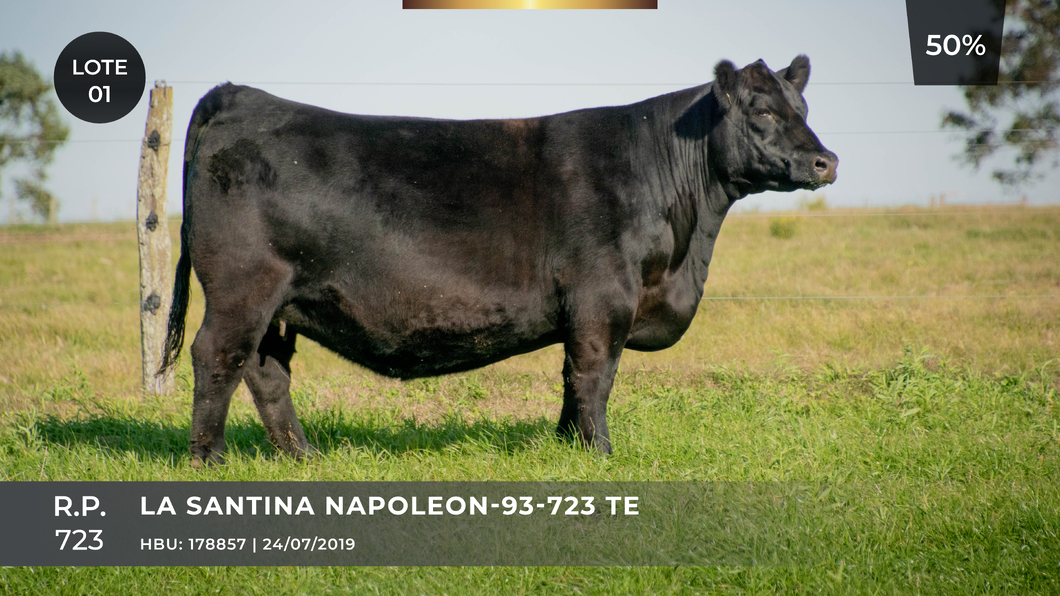Lote LA SANTINA NAPOLEON-93-723 TE