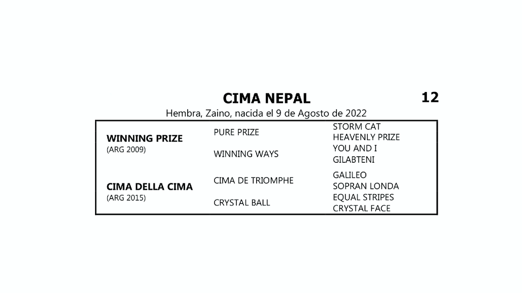 Lote CIMA NEPAL (WINNING PRIZE -  CIMA DELLA CIMA por CIMA DE TRIOMPHE)