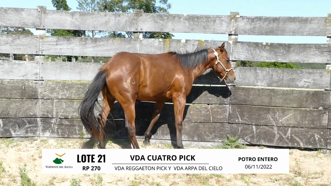 Lote VDA CUATRO PICK