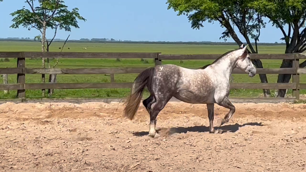 Lote Cañada Manjerona