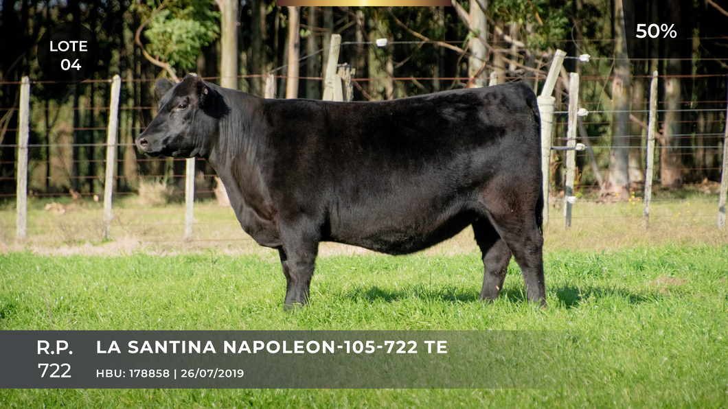 Lote LA SANTINA NAPOLEON-105-722 TE