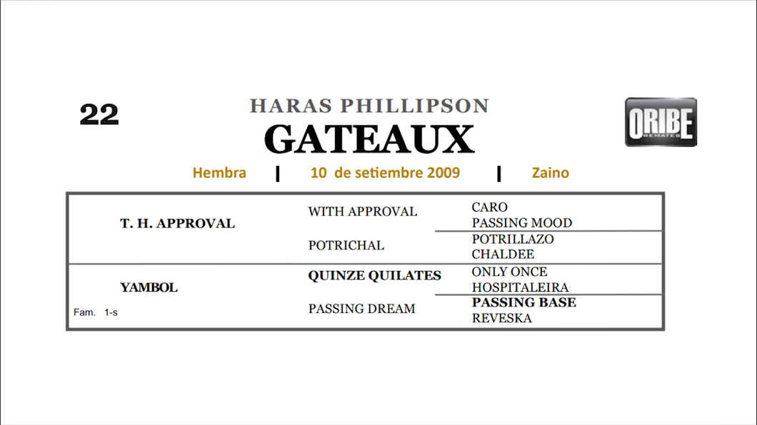 Lote GATEAUX