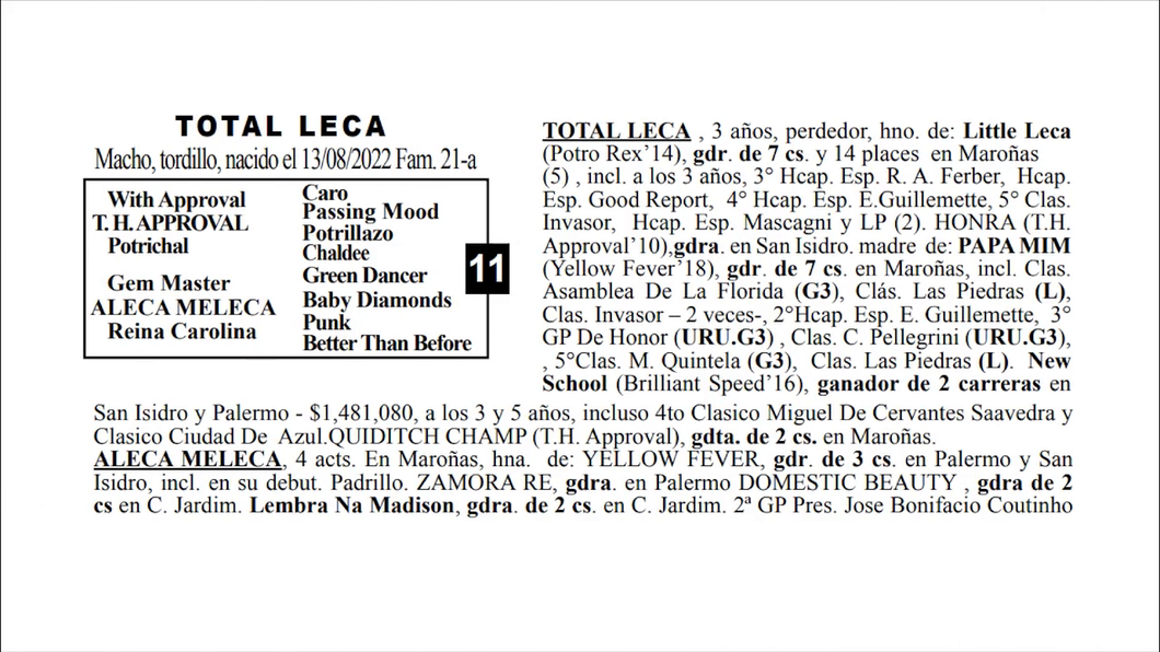 Lote TOTAL LECA