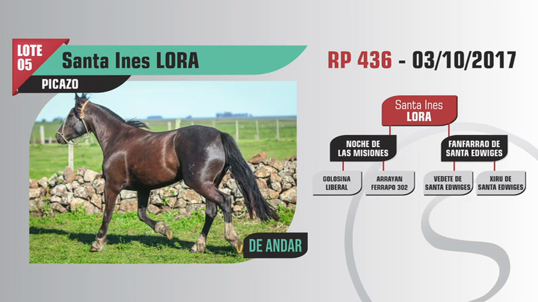 Lote Santa Ines LORA