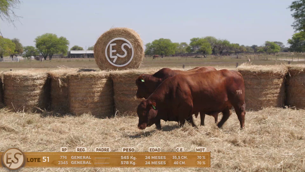 Lote Toro
