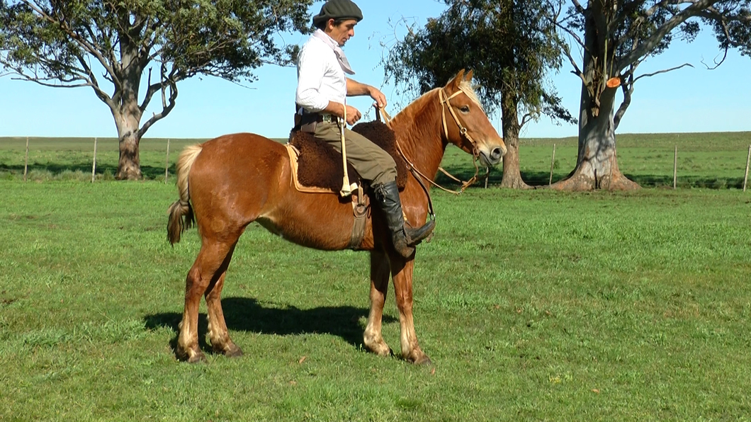 Lote IPANEMA LA CARRETA