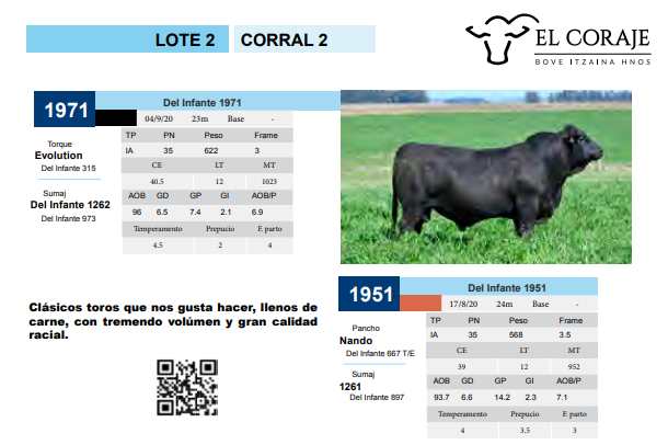 Lote CORRAL 2