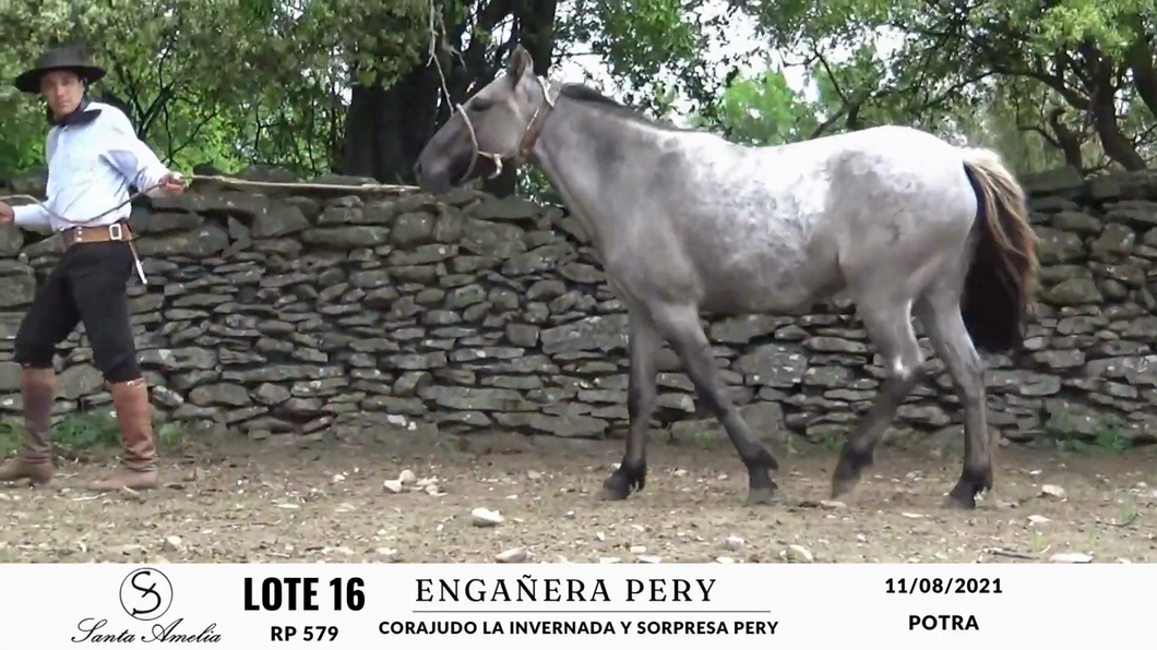 Lote ENGAÑERA PERY