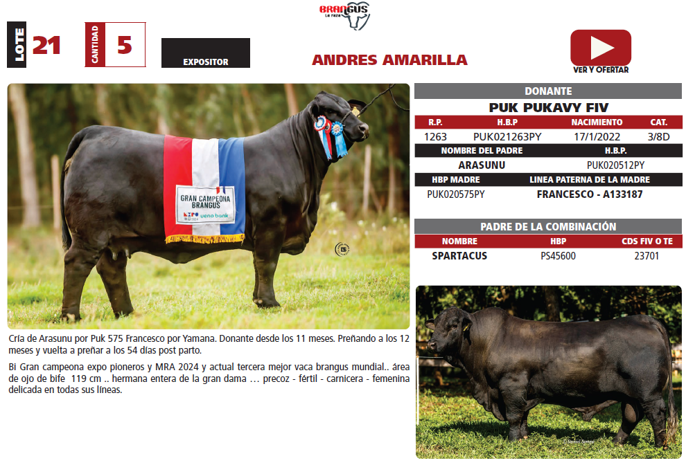 Lote LOTE 21