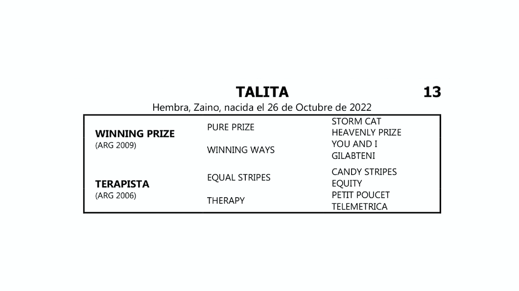 Lote TALITA (WINNNING PRIZE -  TERAPISTA por  EQUAL STRIPES)