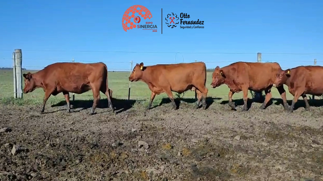 Lote Lote 23 B