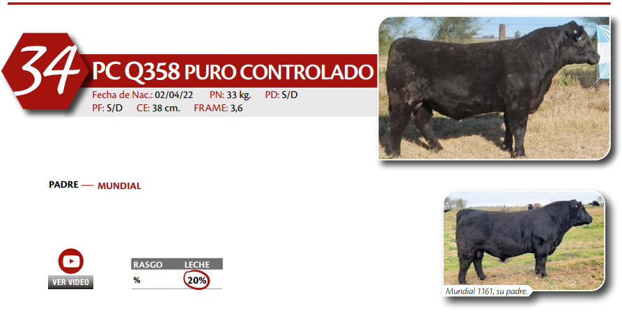 Lote MACHO PC