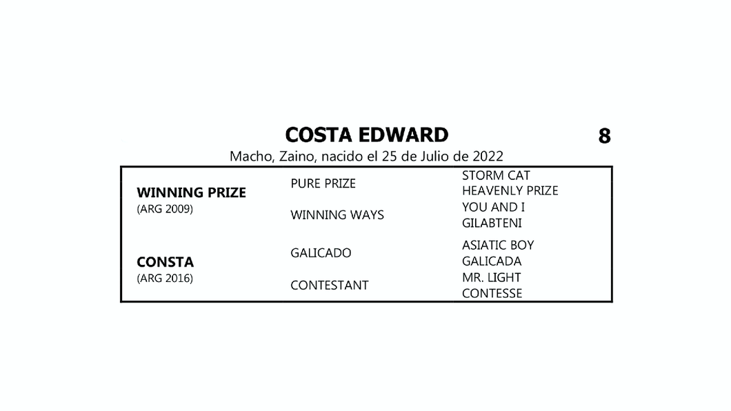 Lote COSTA EDWARD (WINNING PRIZE -  CONSTA por  GALICADO)