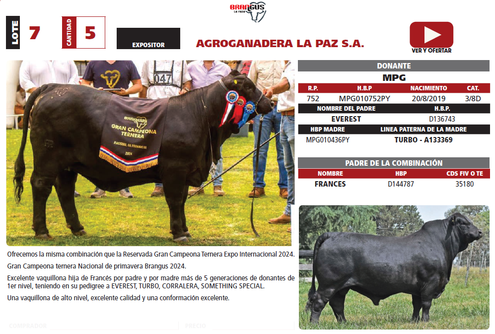 Lote LOTE 7