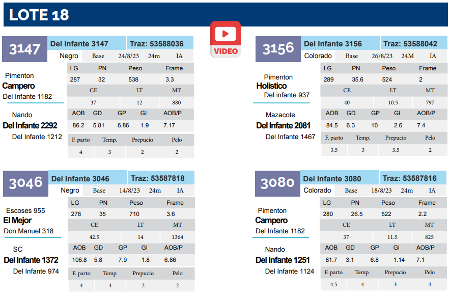 Lote Lote 18