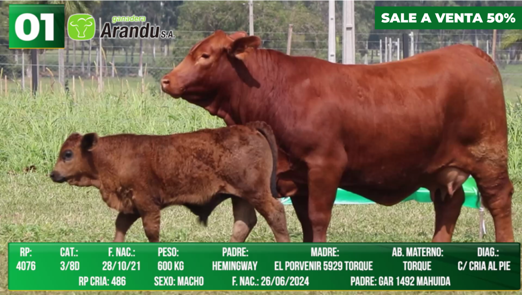 Lote LOTE 1- SALE A VENTA EL 50%