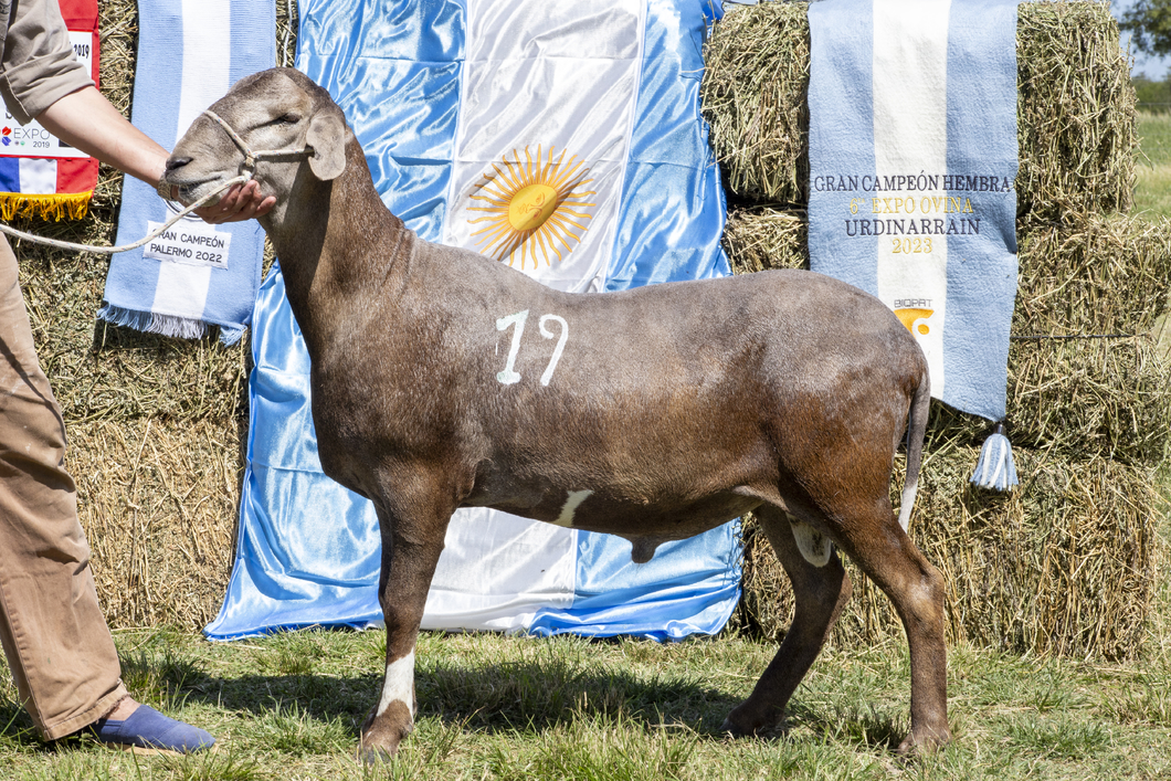 Lote SANTA INES P.P.C.