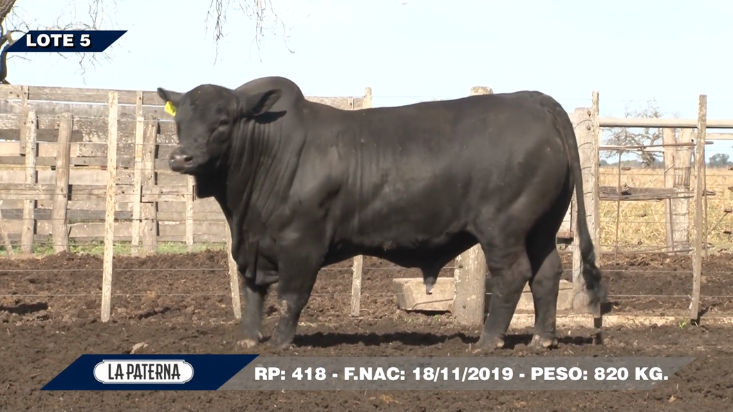 Lote Tacuarembó 418 Super Ancho