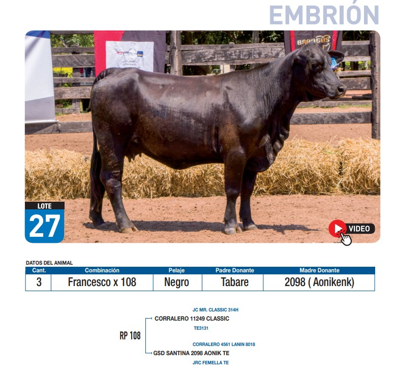 Lote Francesco x 108