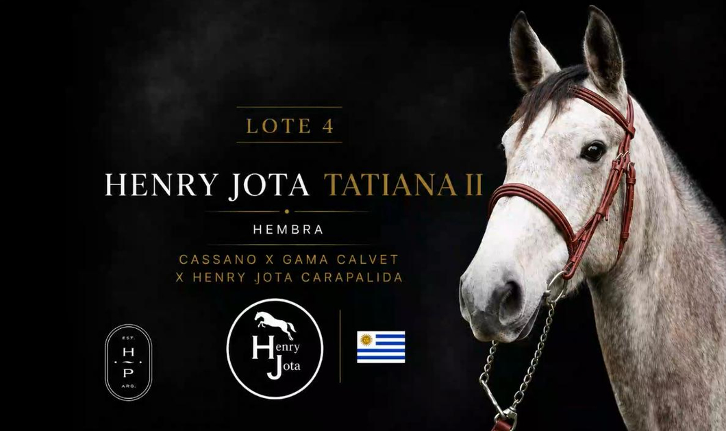 Lote HENRY JOTA TATIANA II