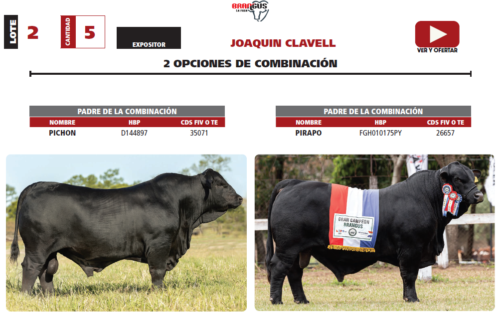 Lote LOTE 2