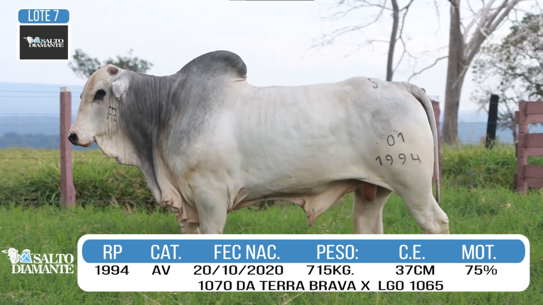 Lote LOTE 7