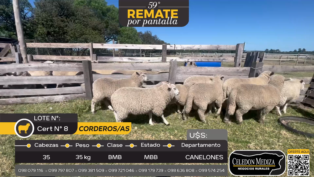Lote 9 Corderos/as en Canelones