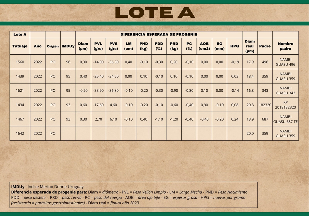 Lote (Vendido)Carneros a remate en Subasta Online - Nambi Guasu, Lavalleja