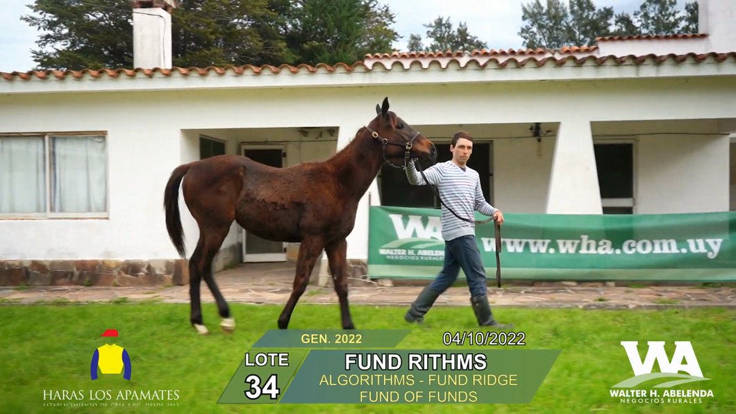 Lote FUND RITHMS