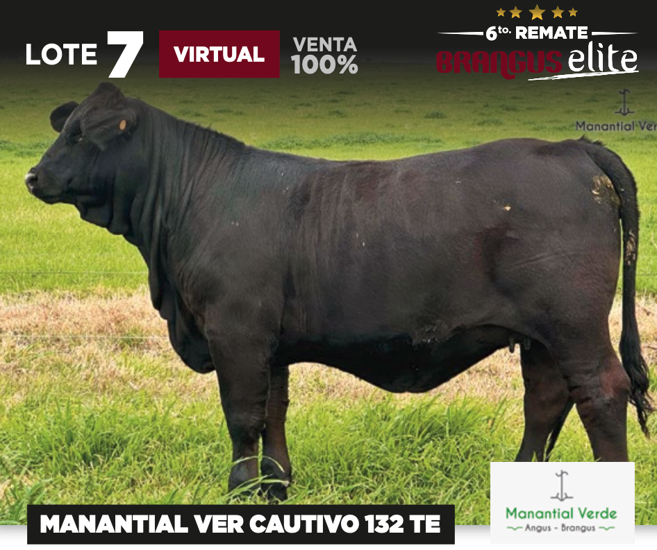 Lote MANANTIAL VER CAUTIVO 132 TE - MANANTIAL VERDE