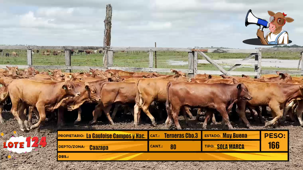 Lote LOTE 124