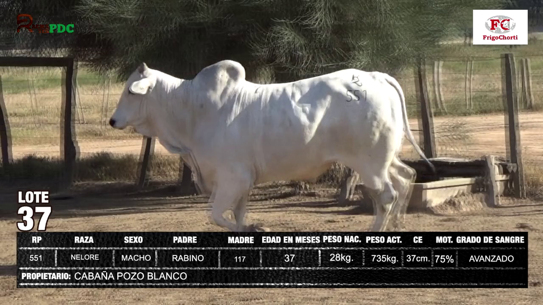 Lote CABAÑA POZO BLANCO