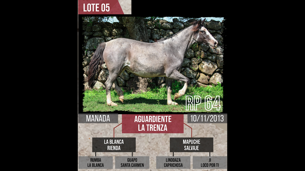 Lote AGUARDIENTE  LA TRENZA