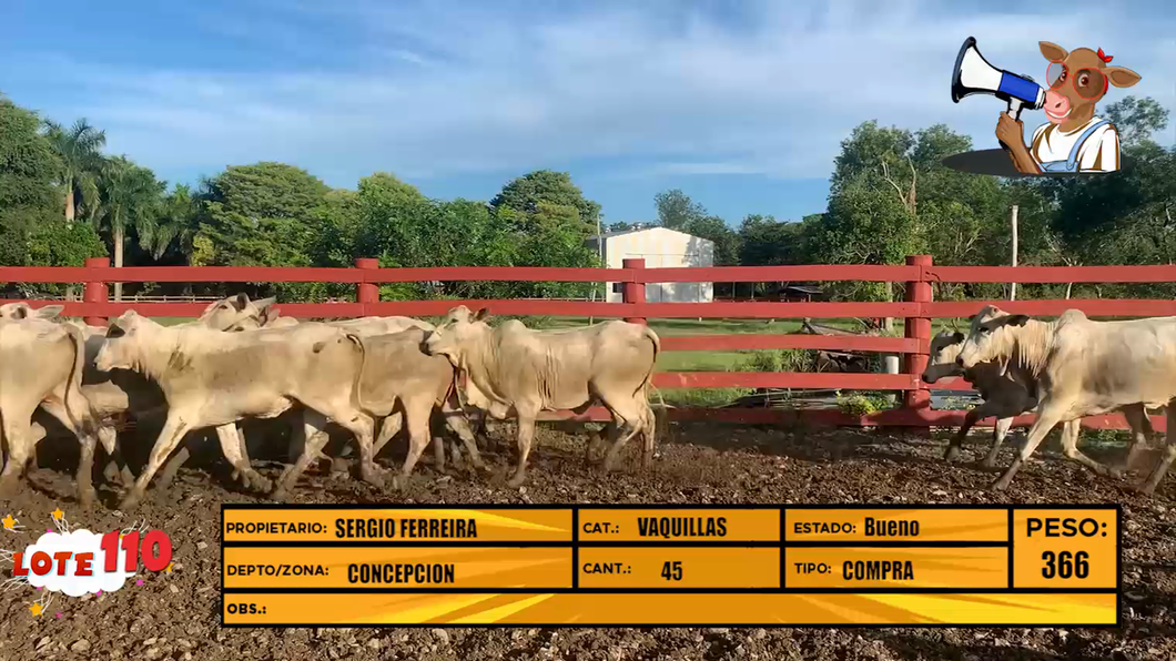 Lote LOTE 110