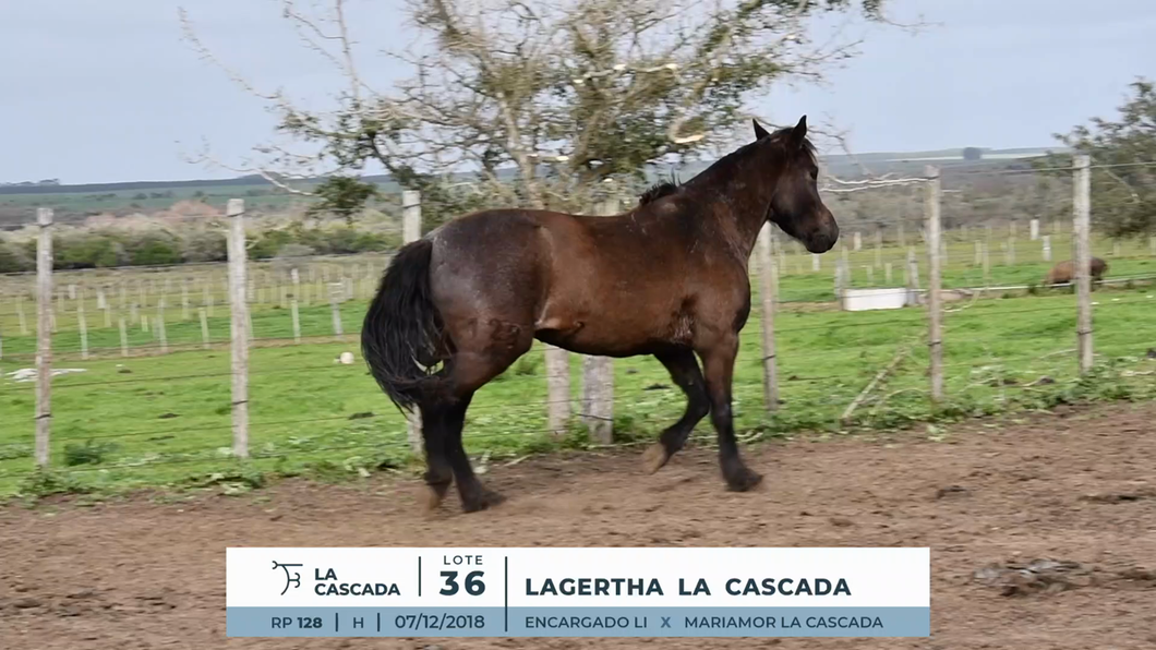 Lote LAGERTHA LA CASCADA