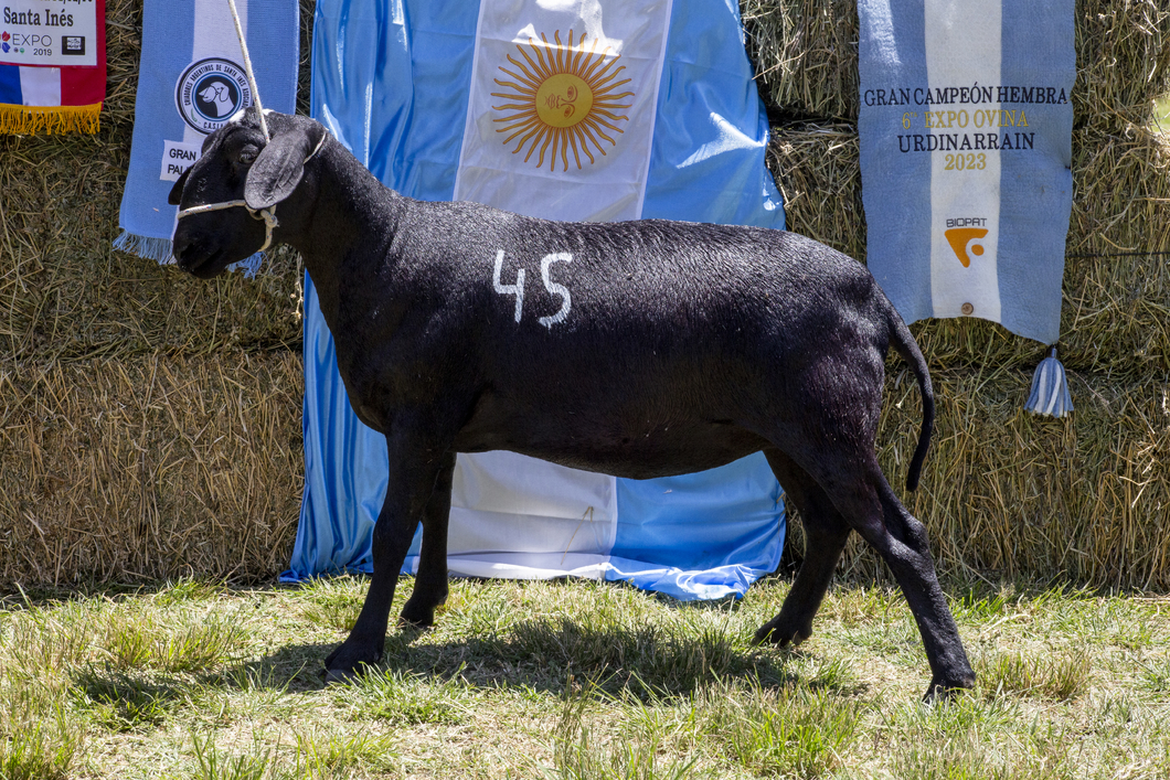 Lote SANTA INES P.P.C.