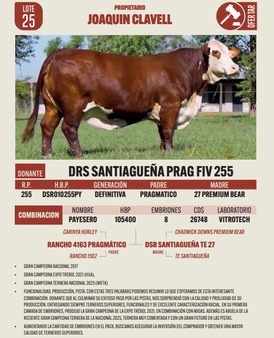 Lote LOTE 25