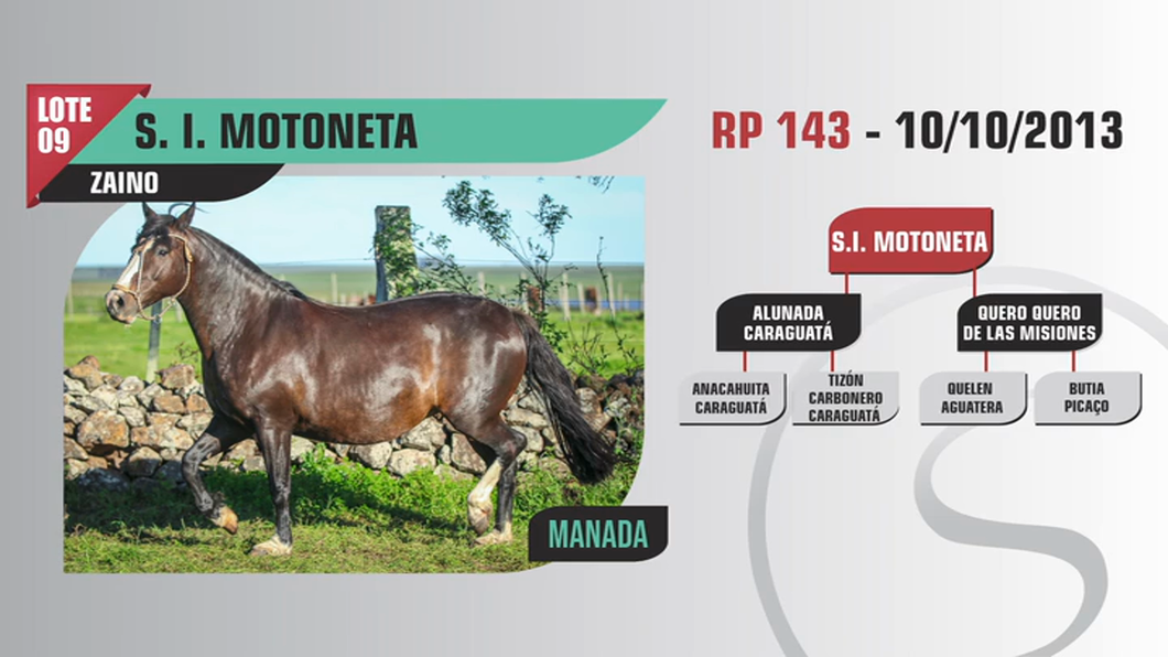 Lote S. I. MOTONETA