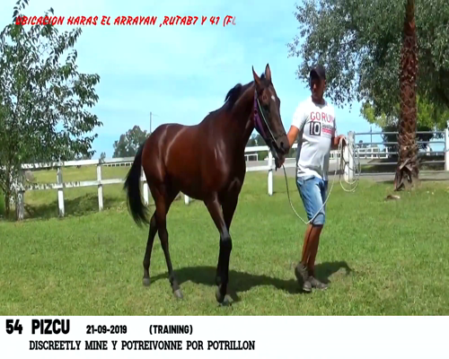 Lote PIZCU