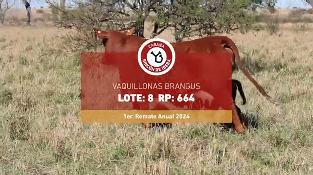 Lote RINCON IBERA 664