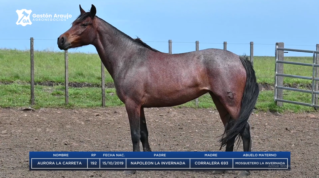 Lote AURORA LA CARRETA