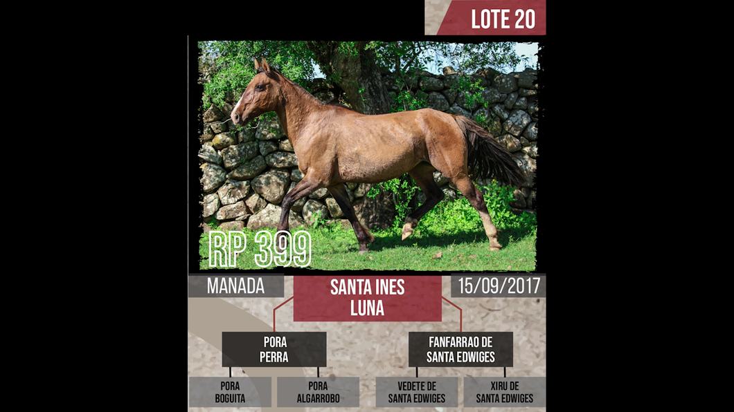 Lote Santa ines  luna