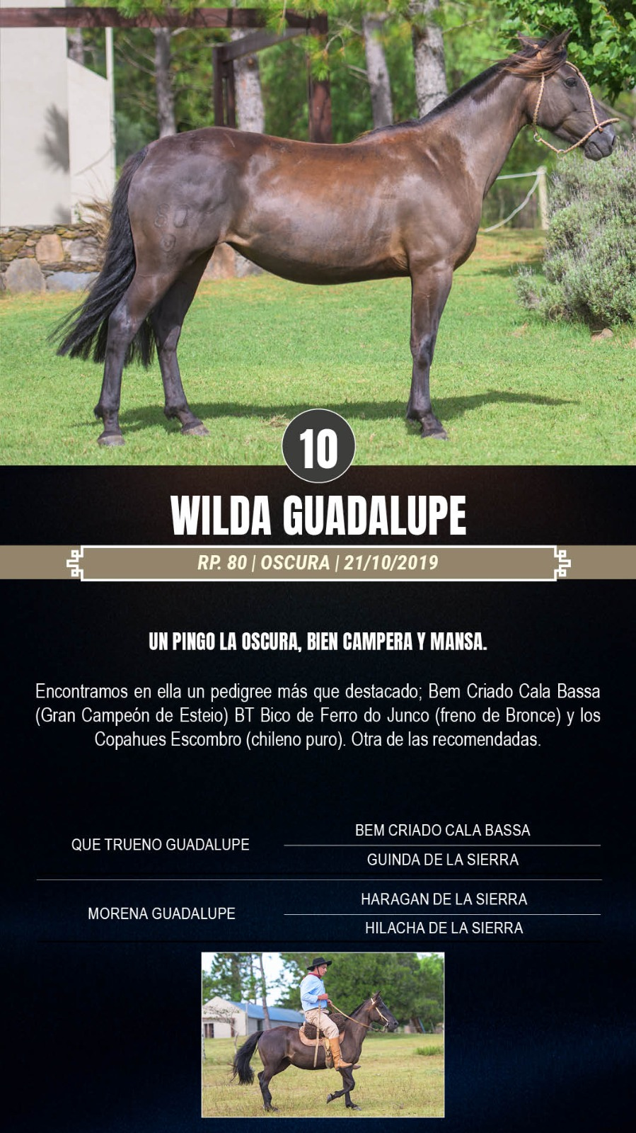 Lote Wilda Guadalupe